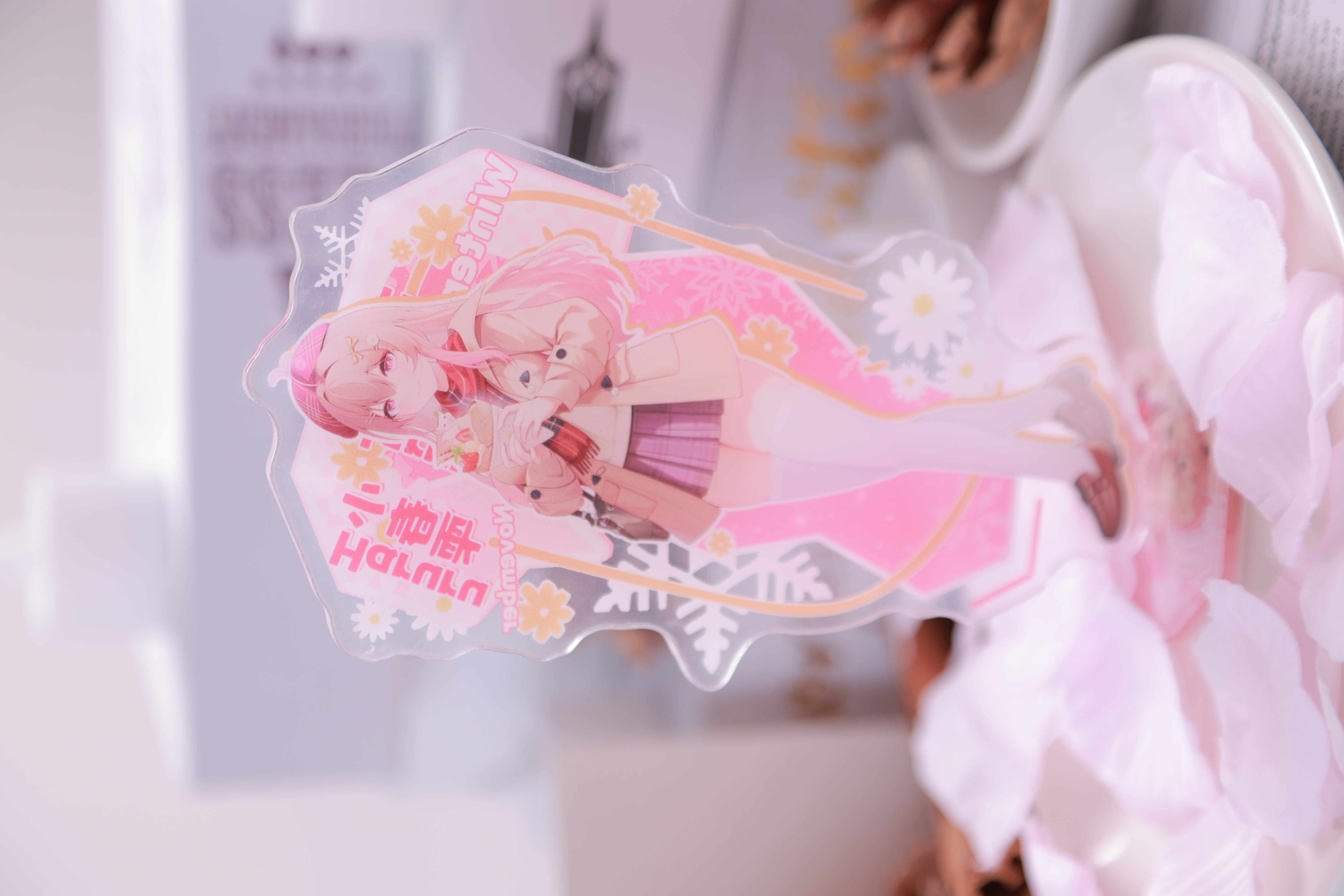 周边产品案例 18